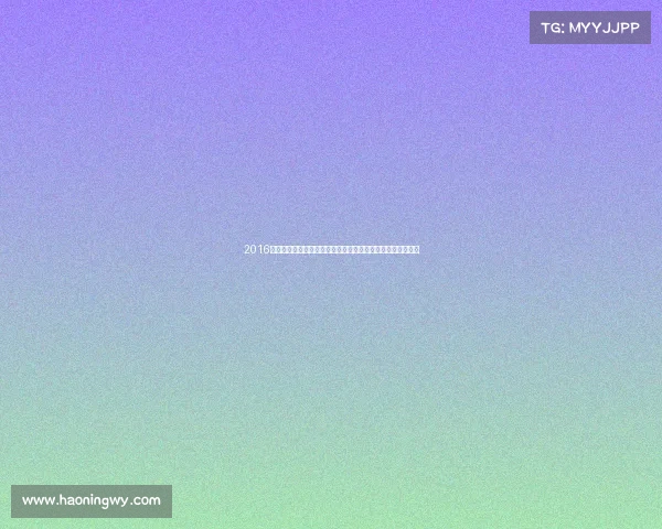 2016年中国马拉松赛事全景回顾全民参与热潮与社会影响深远演变